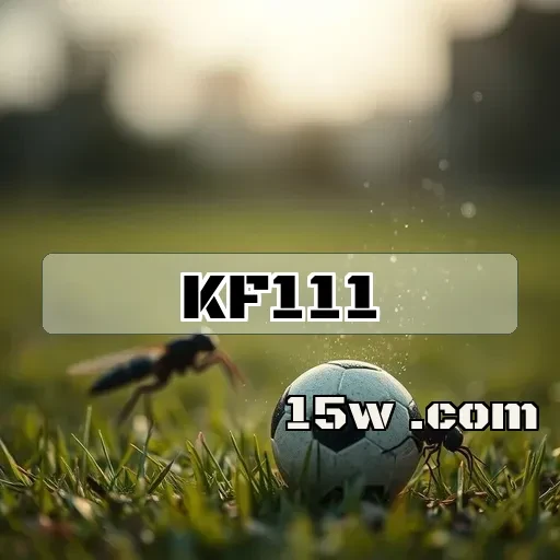 kf111.com: Os Melhores Recursos Exclusivos que Você Não Pode Perder